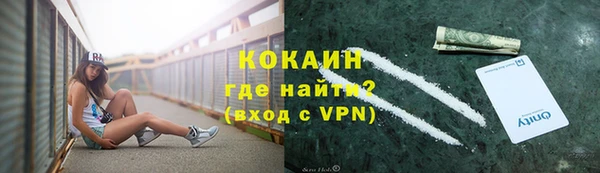 МДПВ Дмитриев