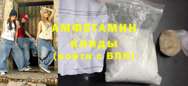 МДПВ Дмитриев