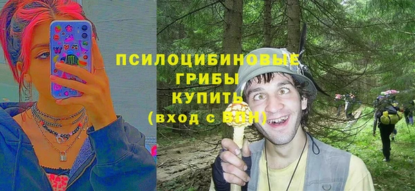 МДПВ Дмитриев