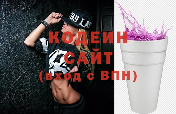 МДПВ Дмитриев